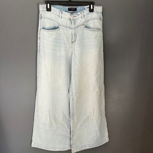 Banana Republic Extra Wide Leg Light Wash Jeans with Front Stitch Detail Size 29